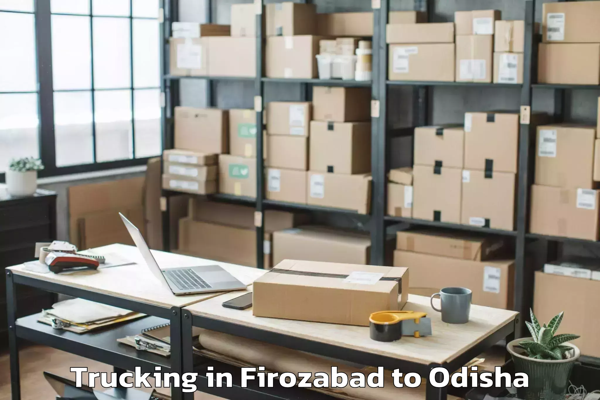 Affordable Firozabad to Bhanjanagar Trucking